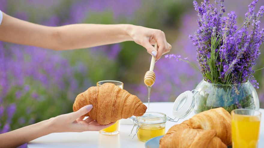 Concurso gastronómico: "Con sabor a abeja mixteca"